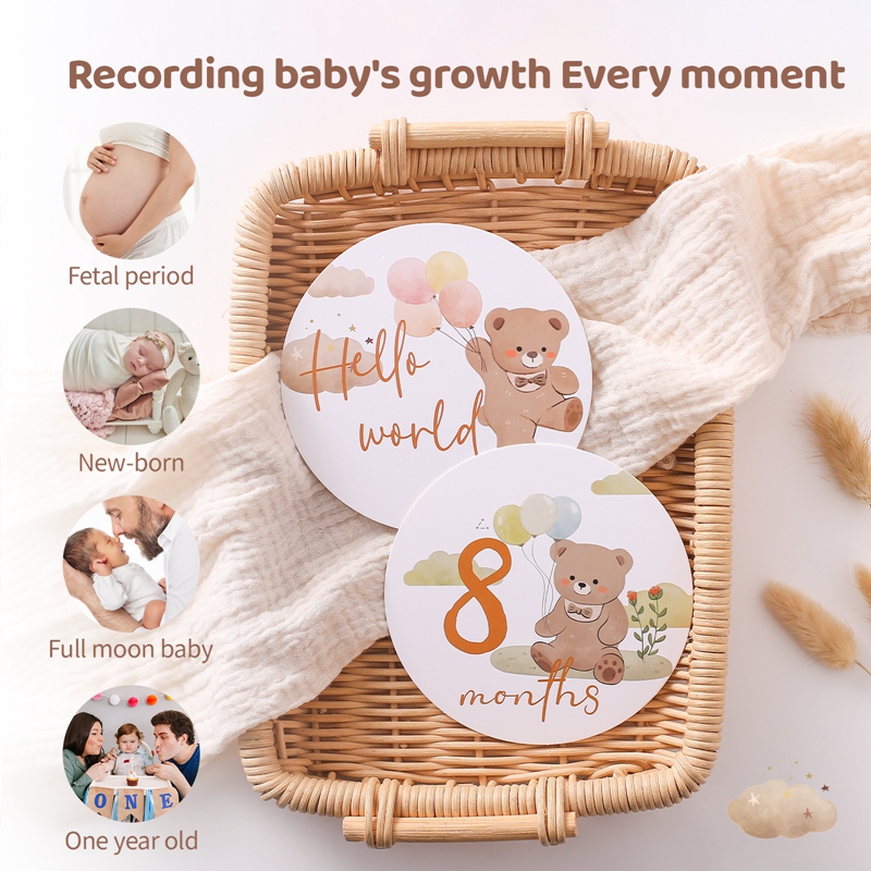 Baby Paper Milestone Number Mo - Milestone Card Set ulasan dan harga