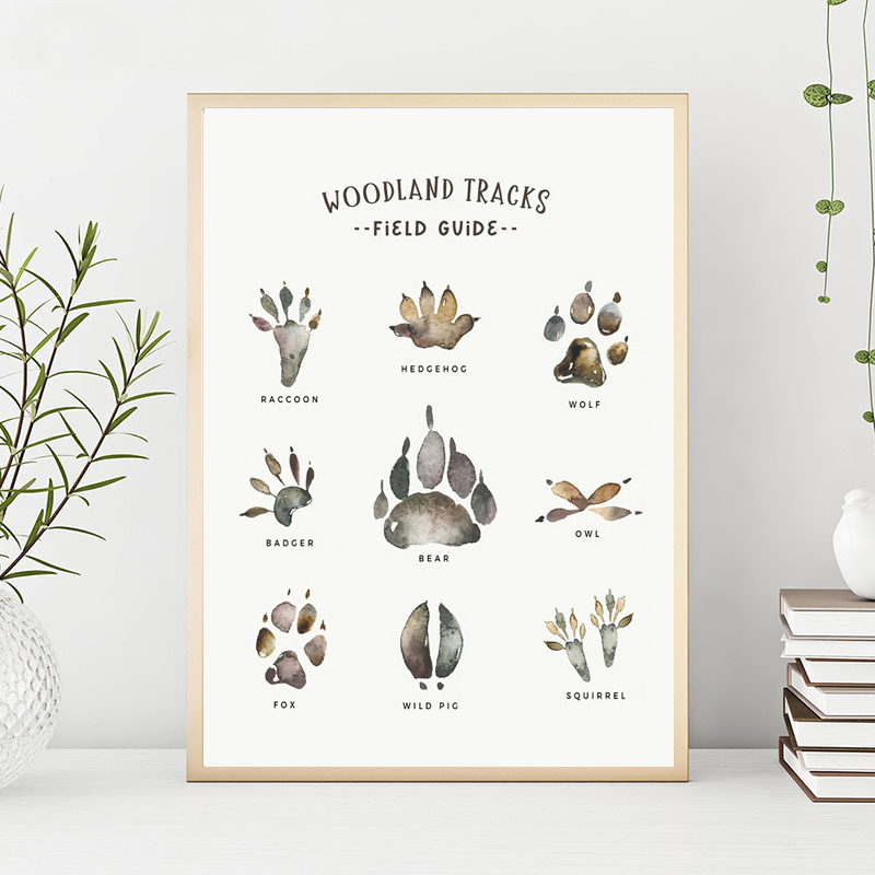 Fox Raccoon Owl Wolf Forest Nu - Baby Nursery Wall Decor ulasan dan harga