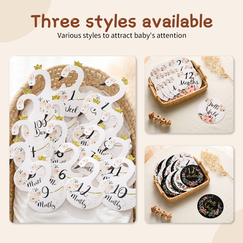 Baby Number Milestone Monthly  - Milestone Card Set ulasan dan harga