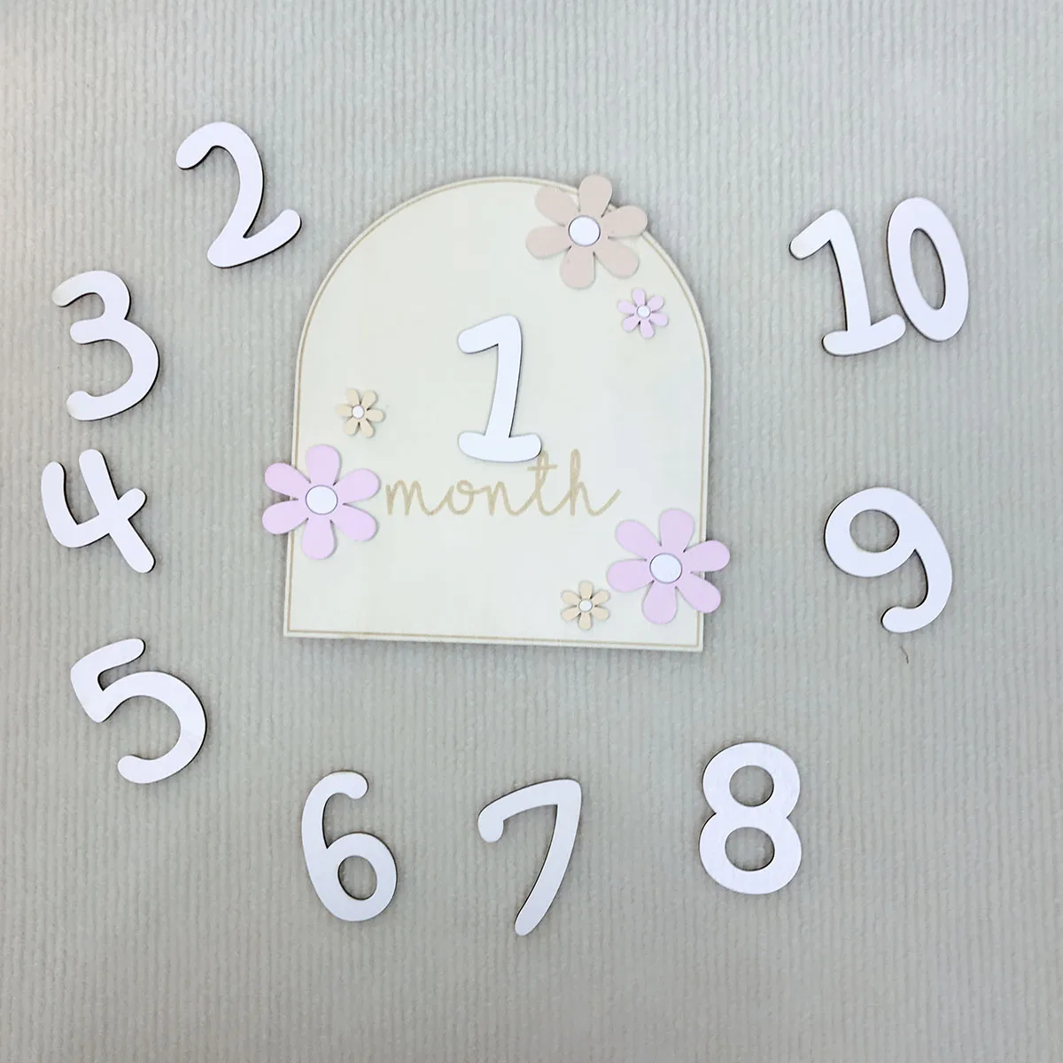 Girls Boys Newborn Photography - Milestone Card Set ulasan dan harga