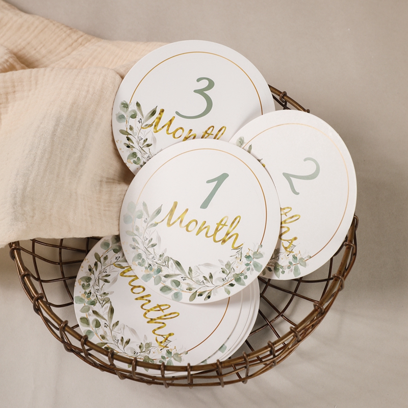 Baby Milestone Number Monthly  - Milestone Card Set ulasan dan harga